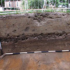 Photographie couleur d'une sous-opération archéologique, d'un profil stratigraphique, qui est superposition des couches de sol, et des traces des vestiges de bois.