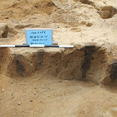 Colour photograph of the soil and of five blackened traces one next to the other.