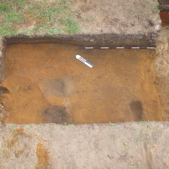 Colour photograph of three dark areas on a lighter soil.