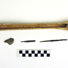Colour photograph of a bone scraper, an awl made of gunflint and two iron needles.