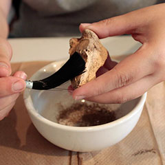 Close-up colour photograph of hands cleaning a bone using a brush over a porcelain bowl.