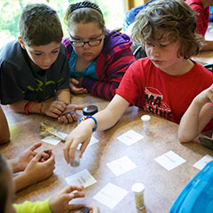 Colour photograph of several students seated around a table. Some are holding little cards in their hands while others are holding artifacts.